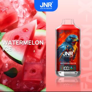 JNR 18k Watermelon Ice: Refreshing watermelon cooling in a premium vape